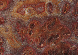 Onyx Rosso Tartaruga