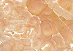 Onyx Orange