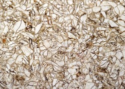 Breche Agate