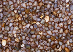 Carnelian Brown