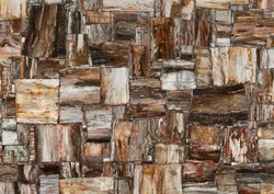 Retro Brown Petrified Wood