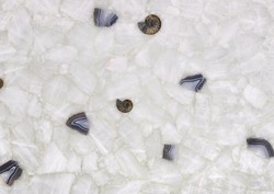 Wild Quartz