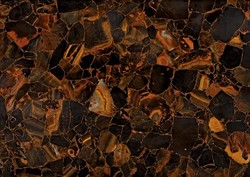Wild Tiger Eye Gold