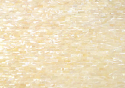 Ivory Opale